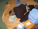 amy_03211_sbb.jpg